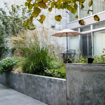 Modern Brooklyn Garden
