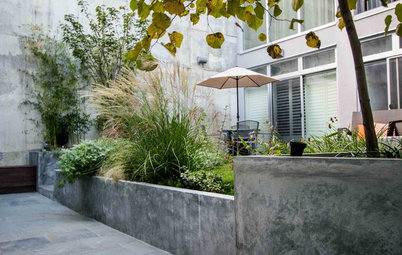 From Concrete ‘Jail Yard’ to Lush Escape in Brooklyn