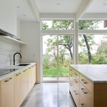 White Oak Modern Kitchen