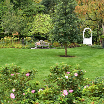 A Landscape Like a Sonnet