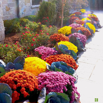 Plantings