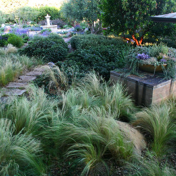 Contemporary Home and Garden