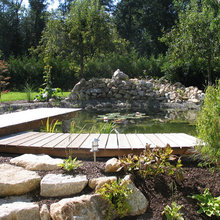 Ponds