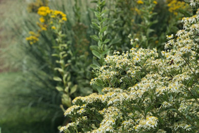 Inspiration for a large rustic drought-tolerant, privacy and full sun backyard concrete paver landscaping in Other.
