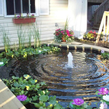 Ponds