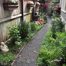 Landscape Ideas