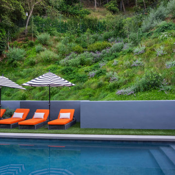 Mandeville Canyon Modern Oasis