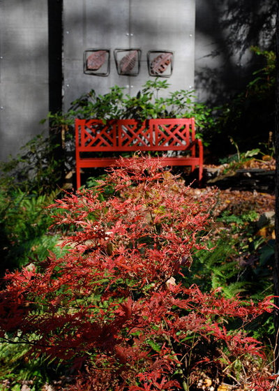 Фьюжн  by Jay Sifford Garden Design