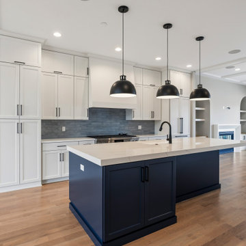 Interior Unit - Modern Contemporary Heritage Place | Naperville, IL
