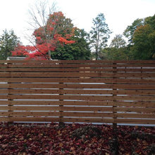 Fence Ideas
