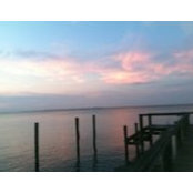 Foto von Barbara Evers