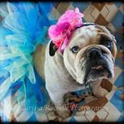 Foto di Adena Easterly