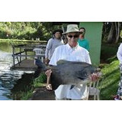Steve Cagle's photo