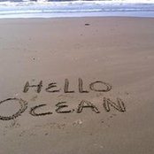 Shari Williams's photo