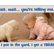 Donna McCarthy's photo