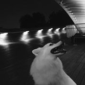 Foto von Ooi Alex