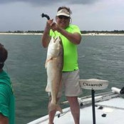 David Diehl's photo