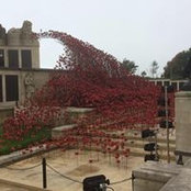Cathy Clark's photo