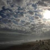 Shweta Bhamare's photo
