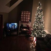 Christie Gower's photo