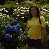 Lucia Viveiros's photo