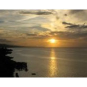 Halshane Burke's photo