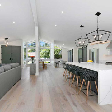 Open Concept Kitchen and Living Space