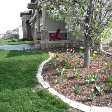 Spring Bulbs West Des Moines