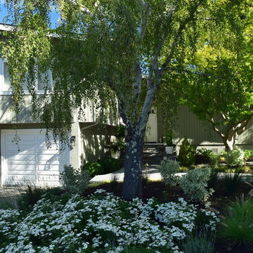 Entry pathway and steps