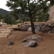 Landscape Ideas