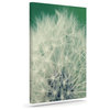 Angie Turner "Fuzzy Wishes" Green White Outdoor Canvas Wall Art 20"x24"