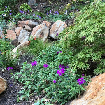 Waterfall Hillside Garden