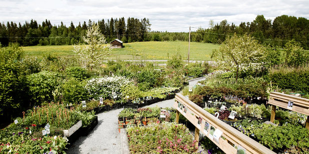 Сад by Maries Trädgård