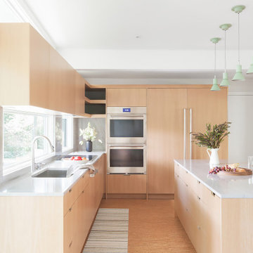 Avriel Shull Kitchen Overhaul