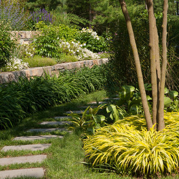 Pathway alongside terraced garden beds