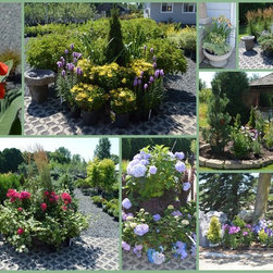 The Nursery - Products