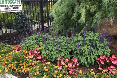 Photo of a mulch landscaping in New York.