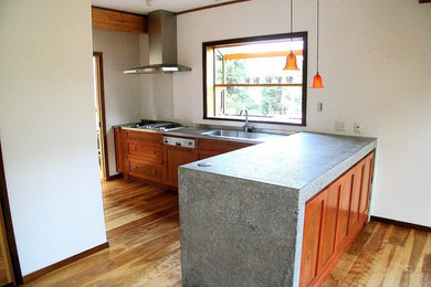 Kitchen photo in Tokyo