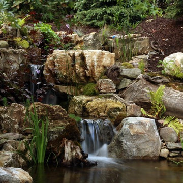 Ponds