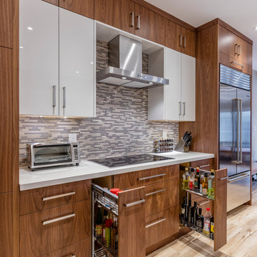 Modern in Mississauga