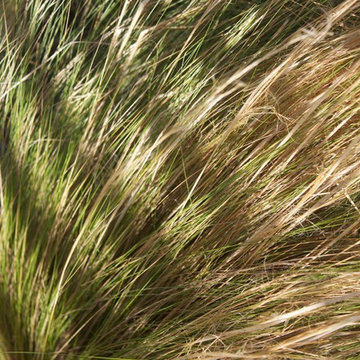 Nature on Walls / Organic hay