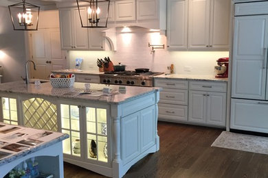 Kitchen - contemporary kitchen idea in Other with an island