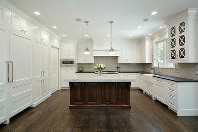 Kitchen - transitional kitchen idea in Chicago