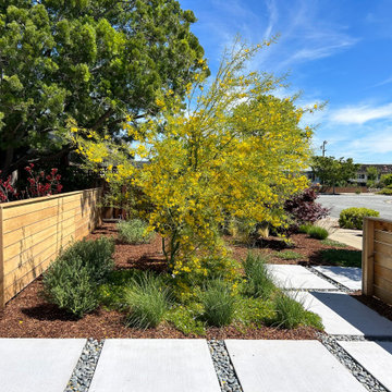 Layered Screening Front Yard