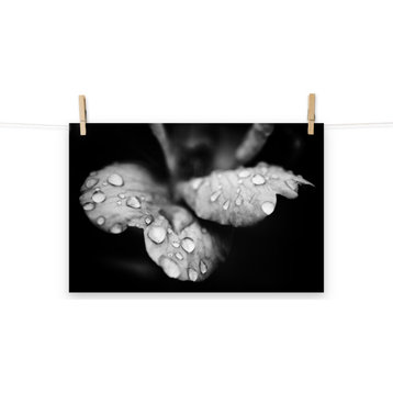 Raindrops on Wild Rose Black and White Floral Unframed Wall Art Print, 12" X 18"