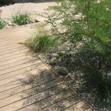 Un jardin original à Toulon
