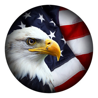 Eagle With American Flag Aluminum Wind Spinner Ready to 