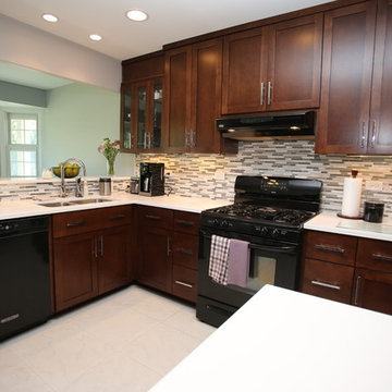 Modern Contemporary Kitchen Remodel in Aurora, IL