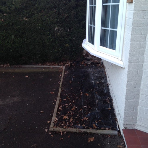 What to put under my bay window (front driveway Houzz UK