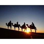 Mona Alawdeen's photo